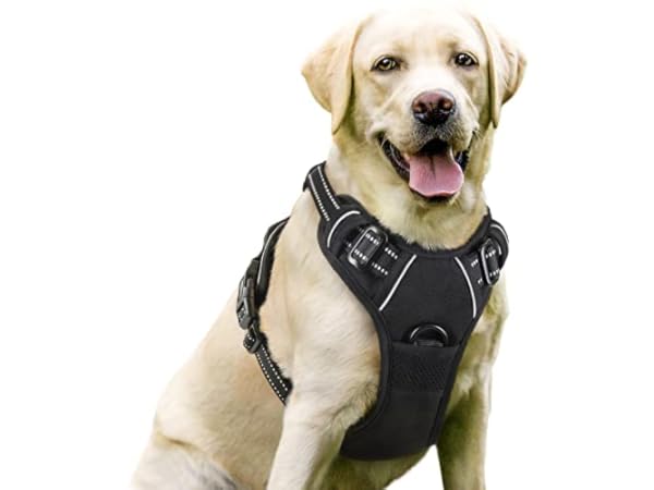 Dog Vest Harnesses Thumbnail