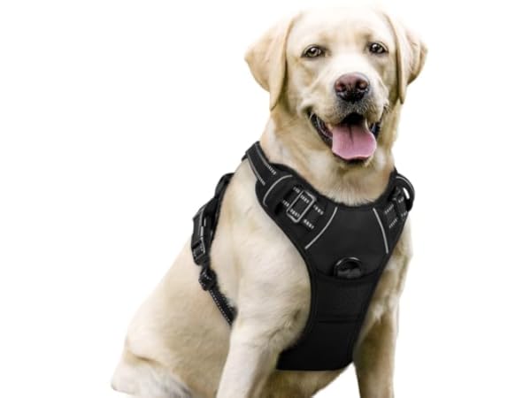 Dog Vest Harnesses Thumbnail