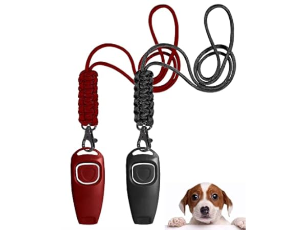 Dog Whistles Thumbnail