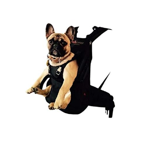 DogCarrier thumbnail