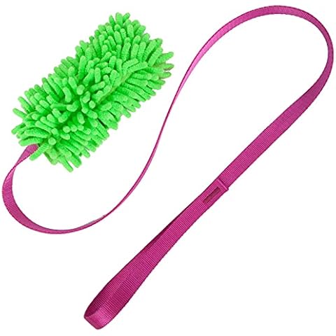 DogCentre.direct feature image