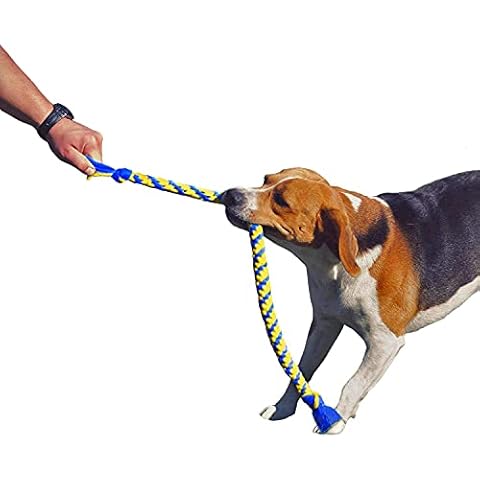 Dogcessories thumbnail