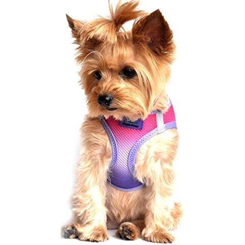 DOGGIE DESIGN thumbnail