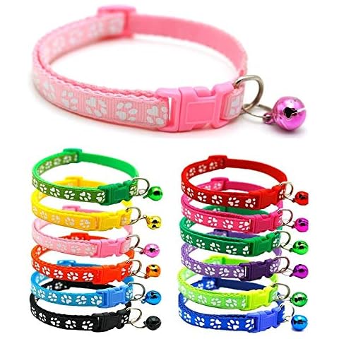 Doggie Style Store feature image