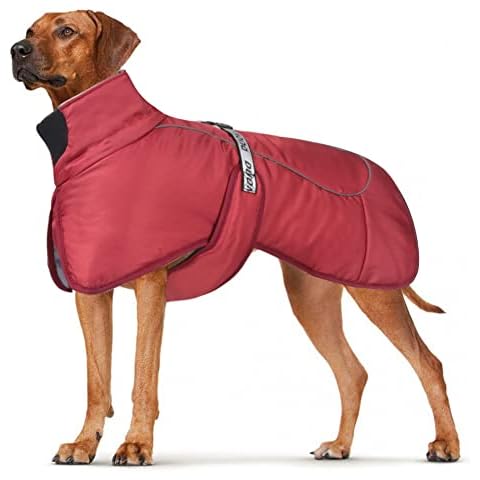DoggieKit feature image