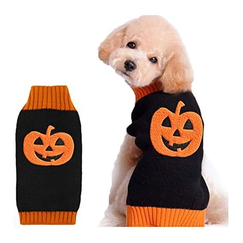 DOGGYZSTYLE feature image