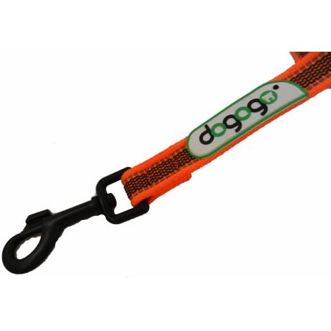 Dogogo feature image