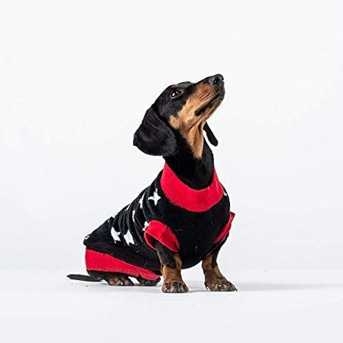 Dogsnug feature image