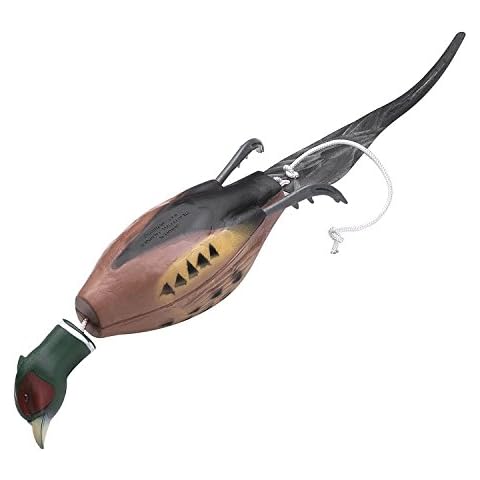 Dokken feature image