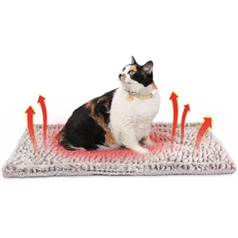 Double Size Cat Bed Blankets