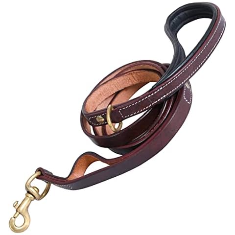 DowgClub feature image