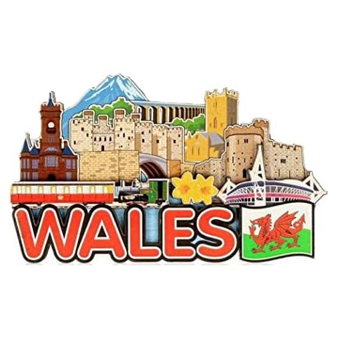 Dragons Fridge Magnets