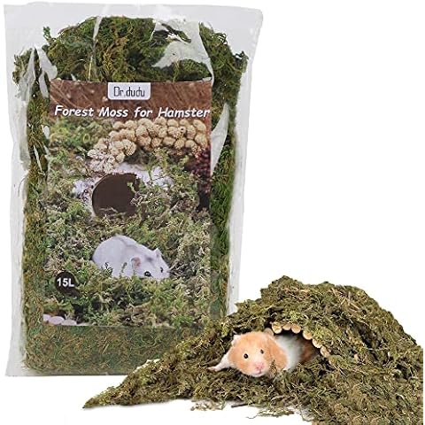 DR.DUDU feature image