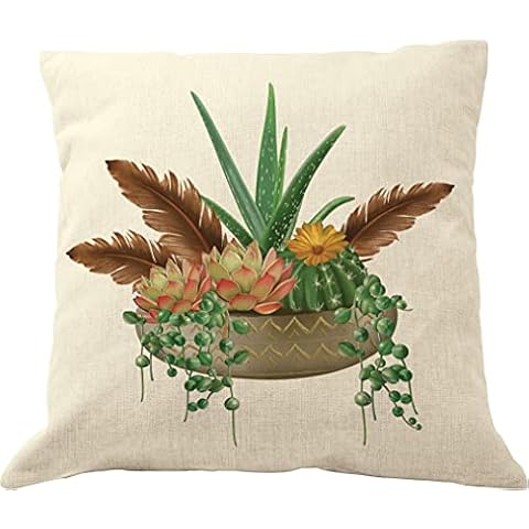 DrupsCo feature image