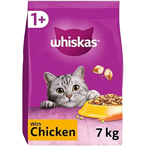 Dry Cat Food