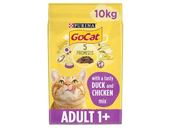 Dry Cat Food Thumbnail