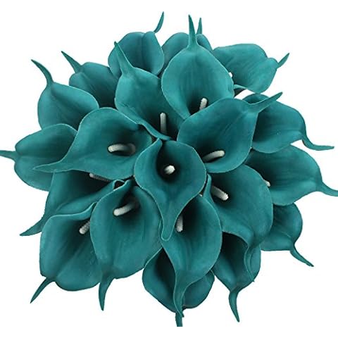 Duovlo feature image