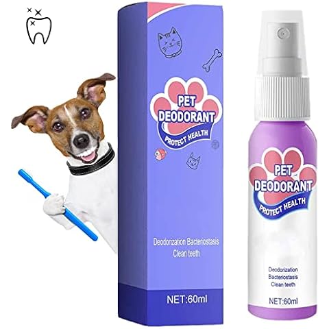 DXFWYTZQ feature image