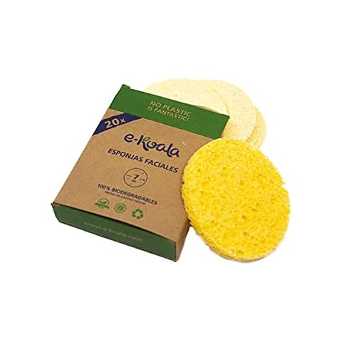 E-Koala feature image