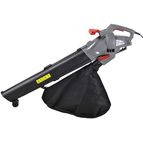 Eckman feature image