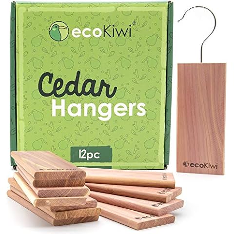 EcoKiwi thumbnail