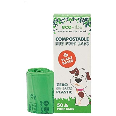 EcoVibe feature image