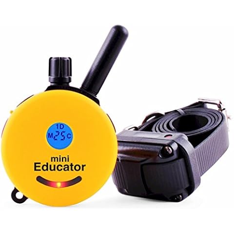 Educator feature image