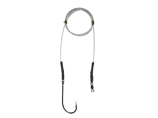 Eel Morgan Rigs Top 8 Best Eel Fishing Bait Rigs in 2026 - FindThisBest (UK)