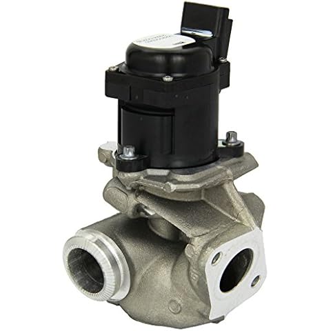 Electric Car EGR Valves