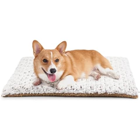 Electric Heating Cat Bed Mats