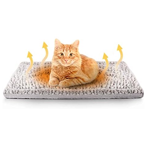Electric Heating Dog Beds
