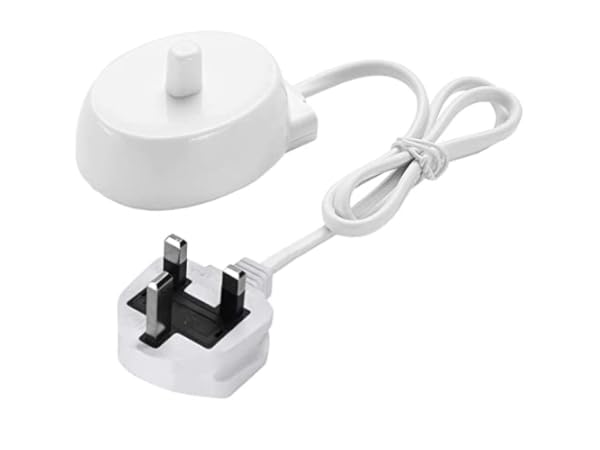 Electric Toothbrush Chargers Thumbnail