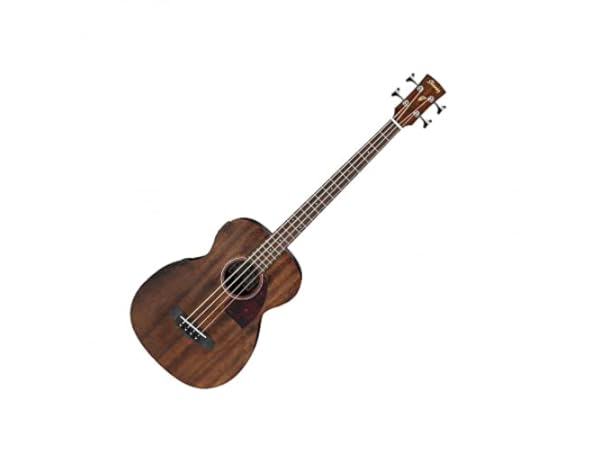 Electro-Acoustic Bass Guitars Thumbnail