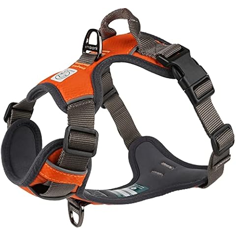 Embark Pets thumbnail