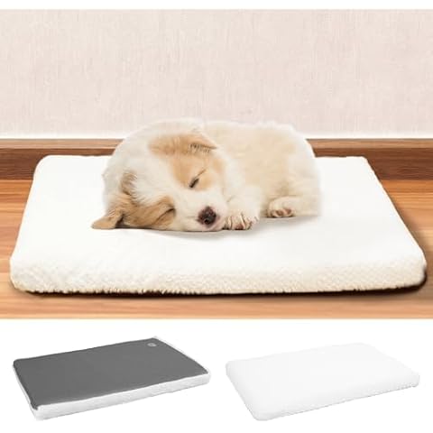 EMPSIGN Dog Beds