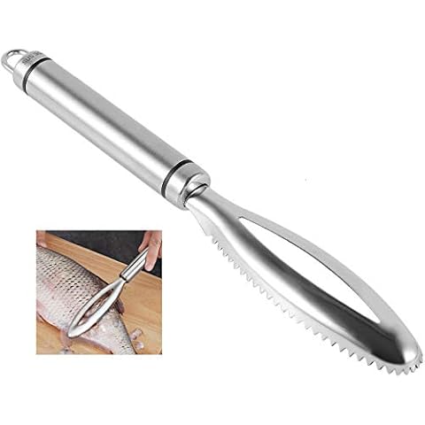 ENZO KEN feature image