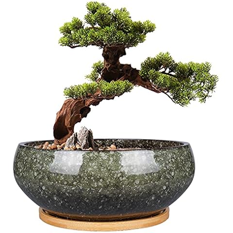 EPFamily feature image