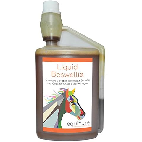 Equicure feature image