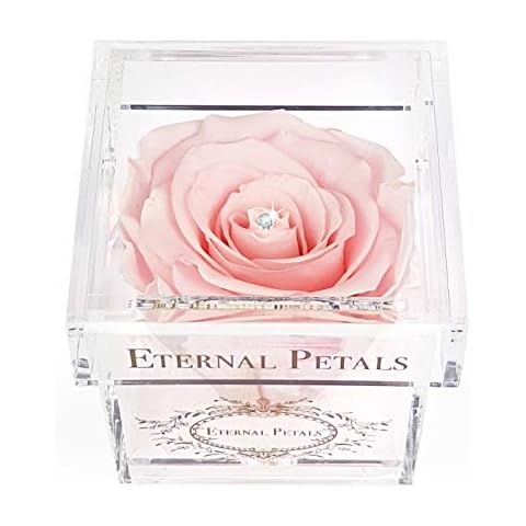 Eternal Petals thumbnail
