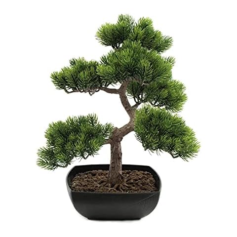 Europalms thumbnail