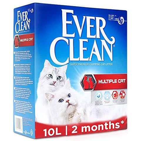 Ever Clean thumbnail