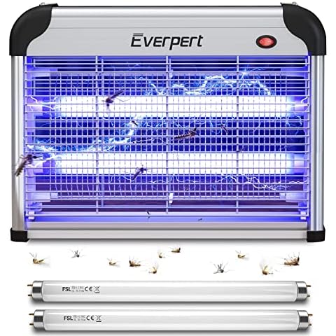 Everpert thumbnail