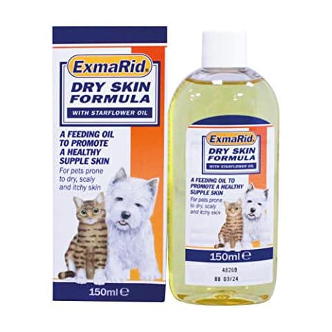 Exmarid feature image