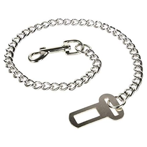 Ezee Paws feature image