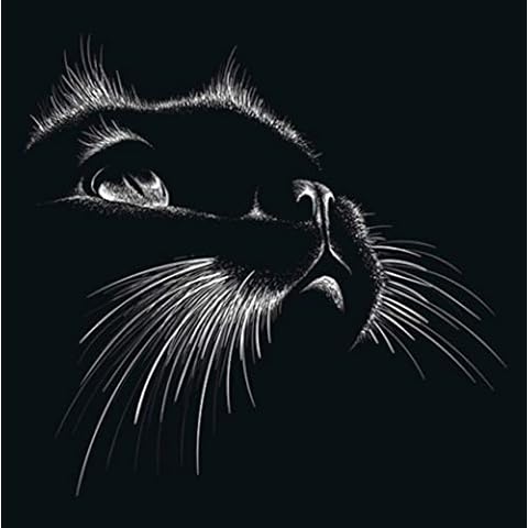 Fabulous Felines thumbnail
