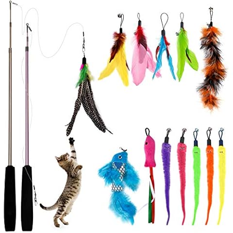 Feather Toys for Cats