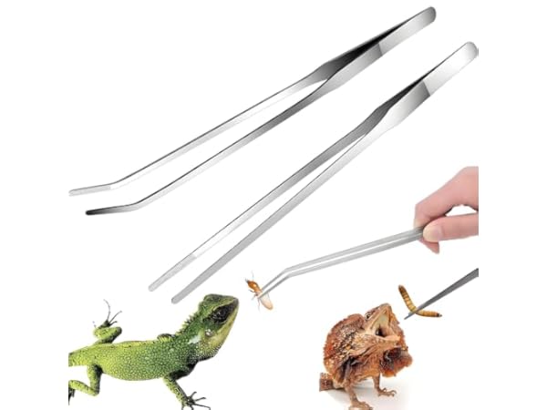 Feeding Supplies for Reptiles Thumbnail
