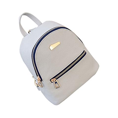 Fenical feature image