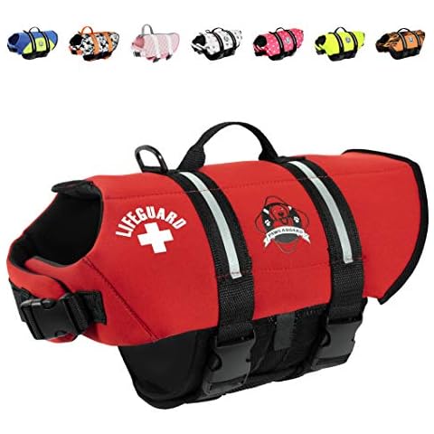 Fido Pet Products feature image