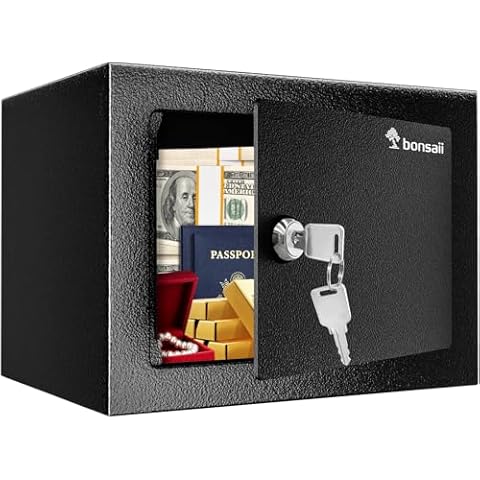 Fireproof Safes for Money
